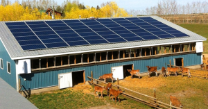 Hayvancılık İşletmeleri için Güneş Enerjisi